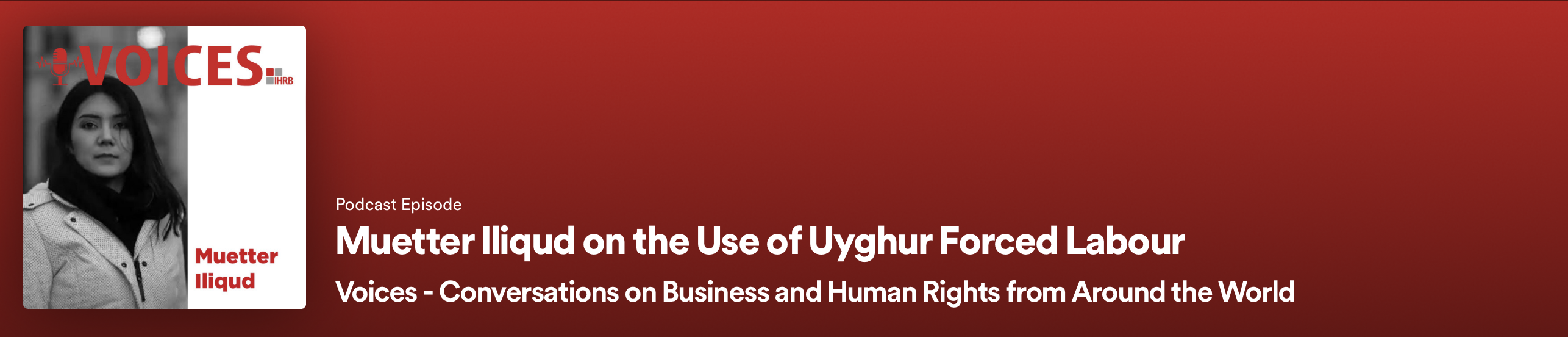 Podcast: The Use of Uyghur Forced Labour