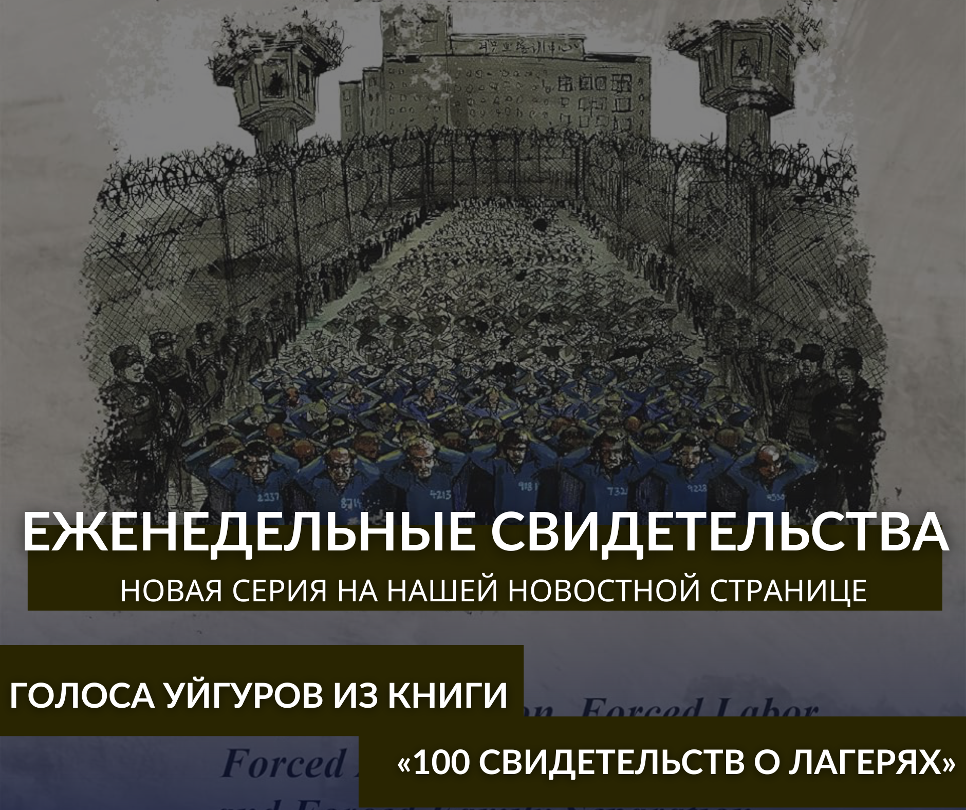 Еженедельные свидетельства: голоса уйгуров из книги «100 свидетельств о лагерях»