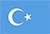 Uyghur flag