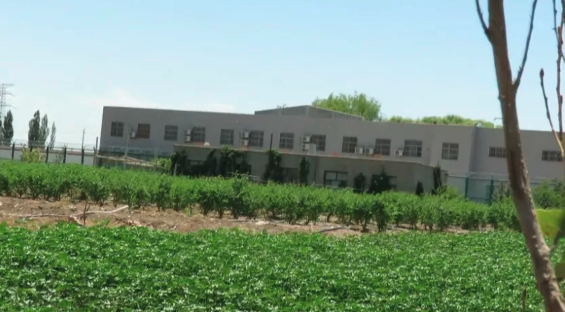 ITV News Uyghur Tribunal